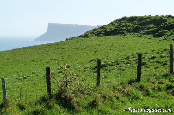 Falaises de la côte d'Antrim dominant la mer depuis une prairie verdoyante