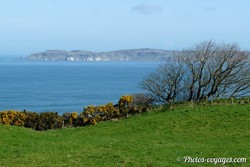Paysage côtier avec prairie, ajoncs et mer en Irlande du Nord