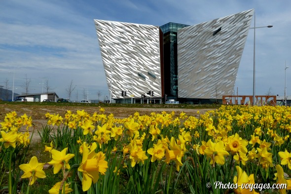 Titanic Belfast entouré de jonquilles au printemps