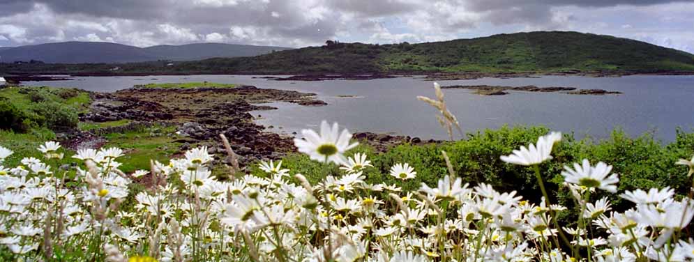 Image de présentation de l'Irlande