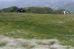 Randonnée à cheval