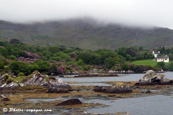 Côte irlandaise sous la brume