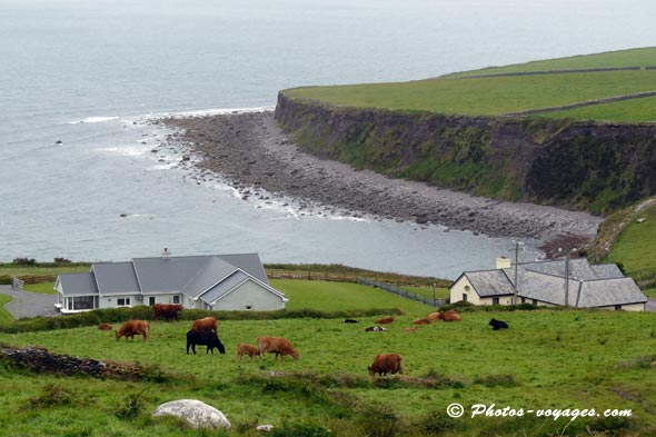 Falaise du sud irlandais