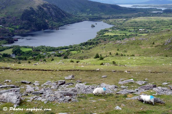 Paysage de lac irlandais