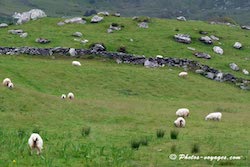 Murs de pierre grise