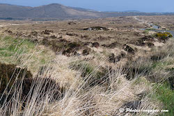 Paysage du parc Gleanveagh