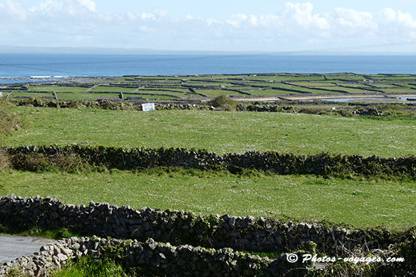 paysage des îles Aran