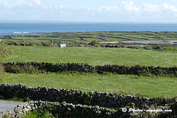 Excursion îles d'Aran