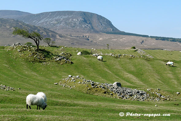 Lac paisible en Irlande