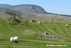 paysage du parc Ballycroy