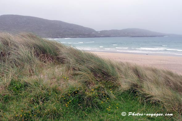 Faire du cheval dans le Kerry