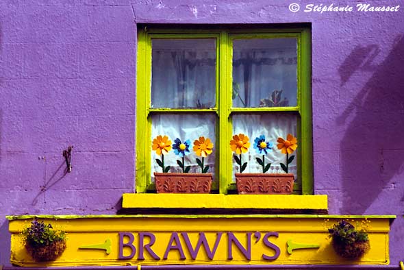 Photo du mois fleurs colorées sur fenêtre