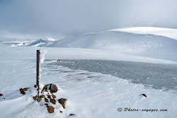 Glace au sommet