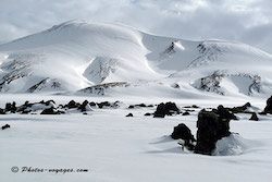 Roche noire sur neige