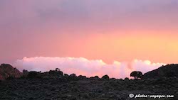 Ciel empourpré