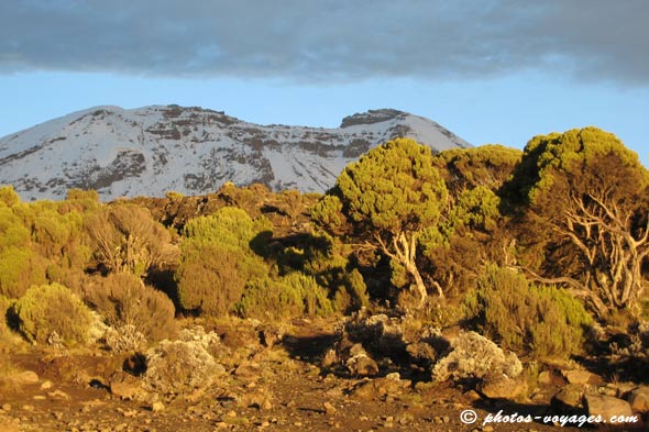 Paysage ombre et lumière au Kilimandjaro