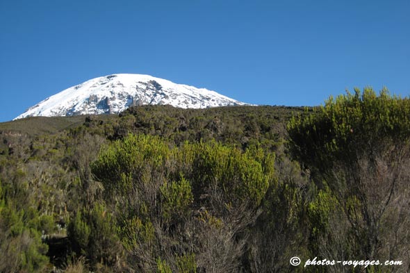 Sommet du Kili lors de la descente