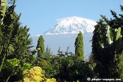 Kibo seen from keys hotel Moshi