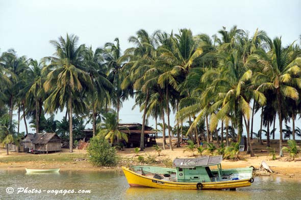 mer calme bateaux et cocotiers