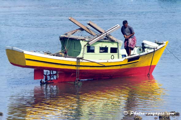 Bateau de pêche à marée basse