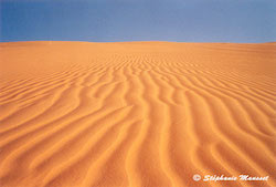 Sahara