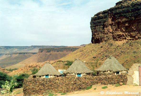 Oasis Terjit dans le désert mauritanien