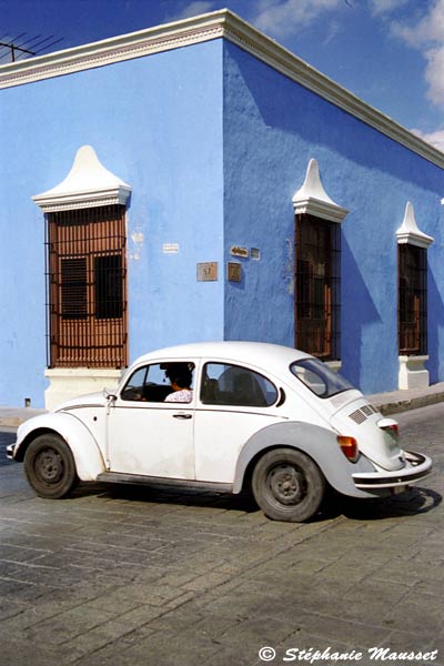 Beetle driving a paved road of Campeche