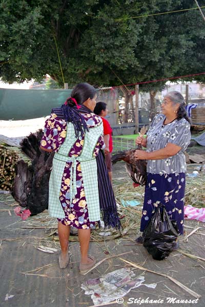 women carrying turkey cocks