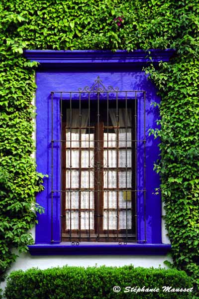 Window of Puebla