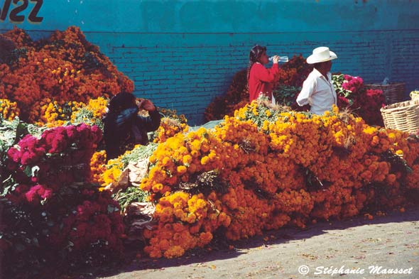 bunch of orange flowers for sale