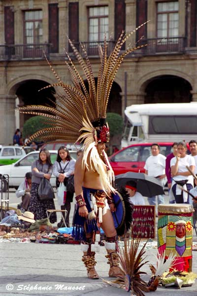 long feather indian headdress