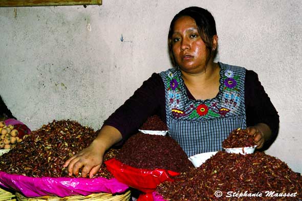 Chapulines ou sauterelles grillées du Mexique