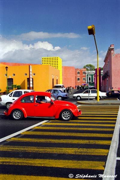Coccinelle rouge à Puebla au Mexique