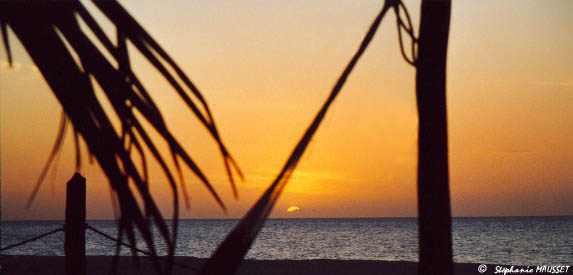 Coucher de soleil sur hamac à celestun