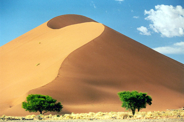 Apricot sand dune in Namib desert