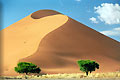 Sand dune undulation