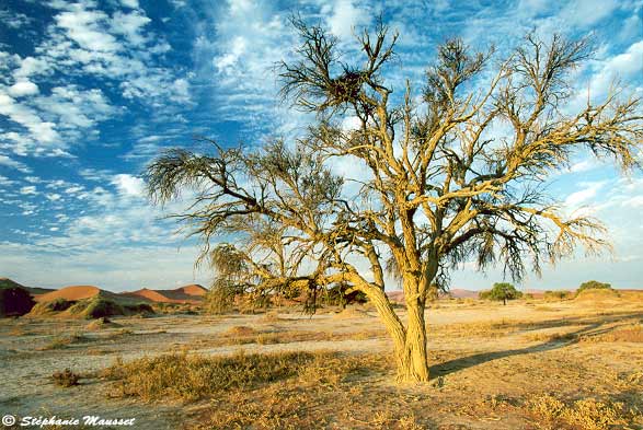 Namib desert atmosphere