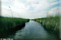 Okavango delta