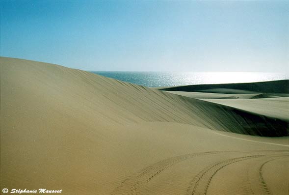 sand dune meeting the ocean