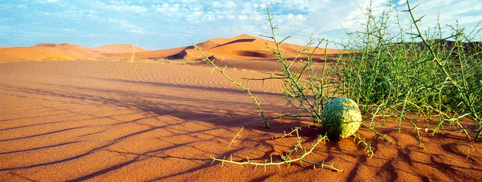 Image de présentation Namibie et Botswana