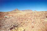 Damaraland