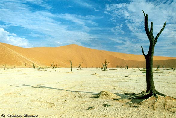 beauté du dead vlei