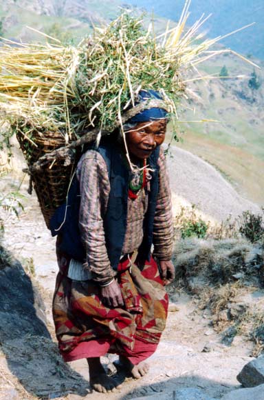 Népalaise portant un panier à la force du cou