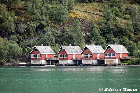 Maisons norvégiennes rives du fjord aurland
