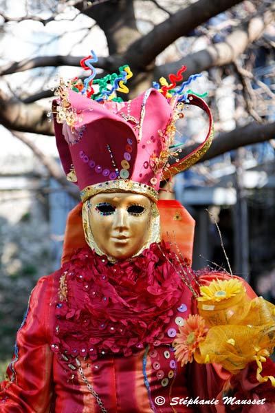 brightly colored costume at the venetian carnival in paris