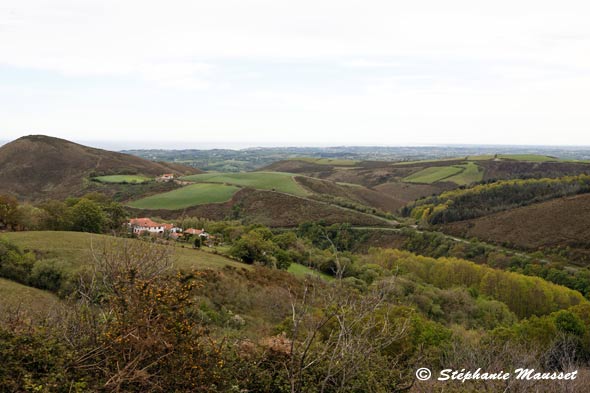 Montagne de la Rhune