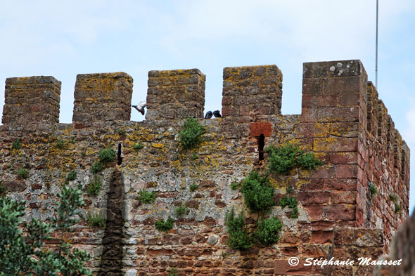 remparts de château