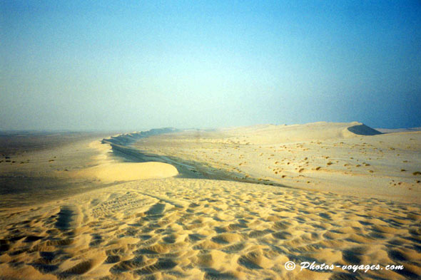dunes de sable du Qatar