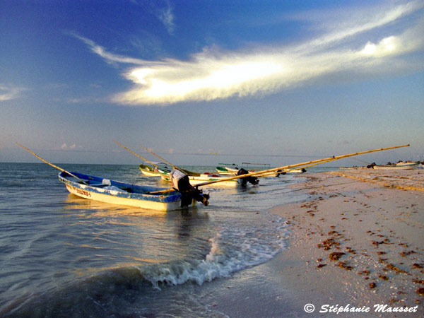 Best of photos plage de Celestun au Mexique