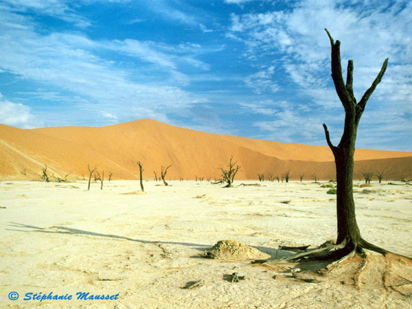 Best of photos le Dead vlei en Namibie